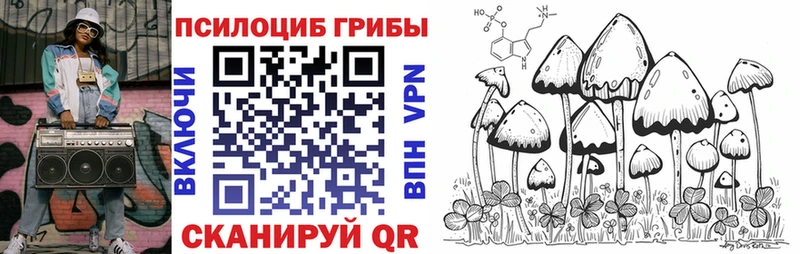 Галлюциногенные грибы Psilocybe  Купить закладки  Россошь 